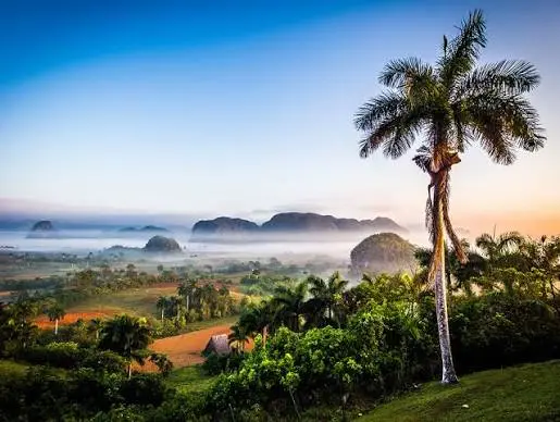Viñales